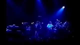 &quot;Walfredo&quot; - Phish (live)