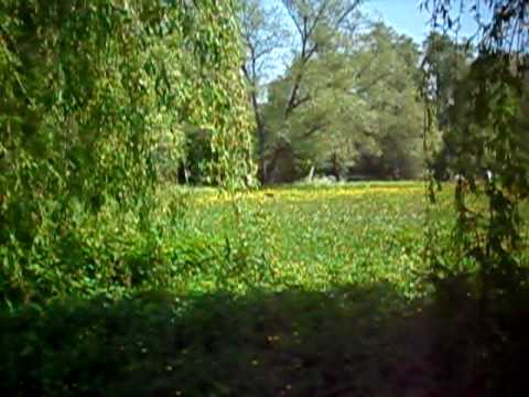 Pepper........"Flitze-Feuerzahn"