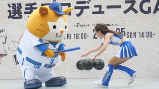 DB.スターマン、トスバッティングに挑戦するもdianaチアのトスがポンコツすぎて大失敗ｗ