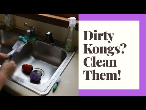 How to Clean a Kong Dog Toy