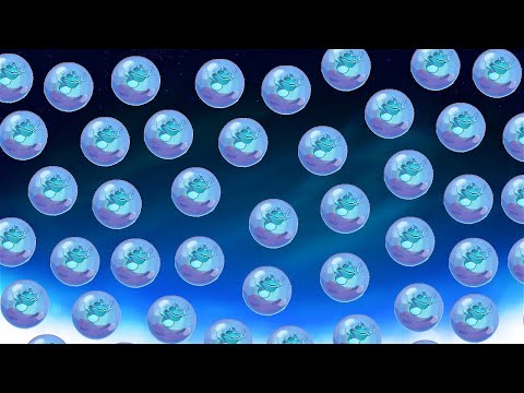 Bubble Tag with Wrenchd, Diffensive, and Lil Capped