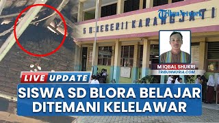 Ada Sarang Kelelawar di SDN 1 Karangjati Blora, Kegiatan Belajar Mengajar Terganggu Bau Menyengat