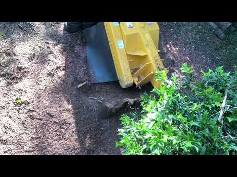 SP6016 GRINDING CEDAR STUMP