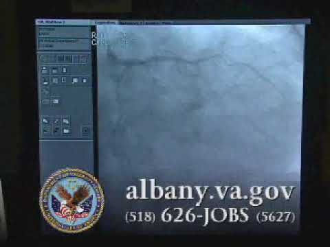 Stratton VA 309 Final