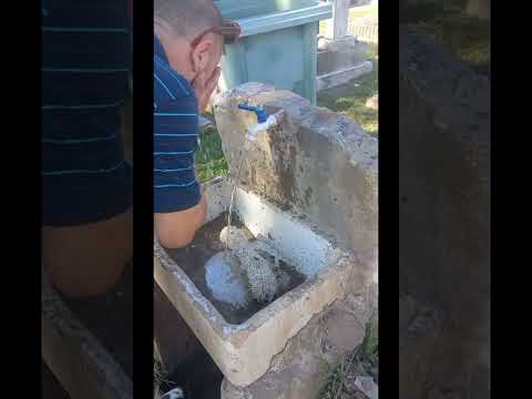 Cementerio De San Fernando (Buenos Aires) (1ra Parte) 