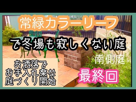 耐寒性常緑低木：冬の庭を彩る4つの植物  庭園
