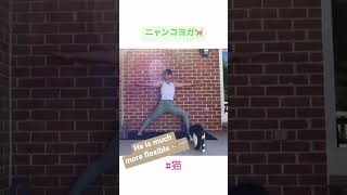 お蔵入り動画公開☆ニャンコヨガ?YouTube撮影中に猫乱入?‍⬛可愛いけど使えない動画?