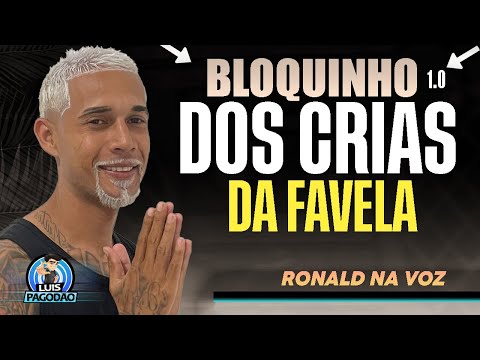 RONALD NA VOZ - BLOQUINHO 1.0 DOS CRIAS FAVELA - PAREDAO VERAO