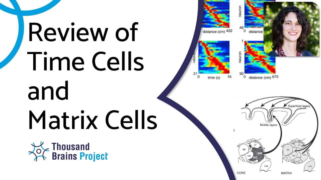 2025/08 - Review of Time Cells and Matrix Cells