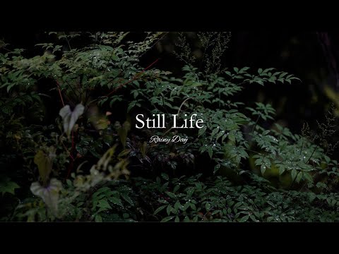 【Album】"Still life" on a rainy day / Mute Piano / music by haruka nakamura / video by SUUHAKU