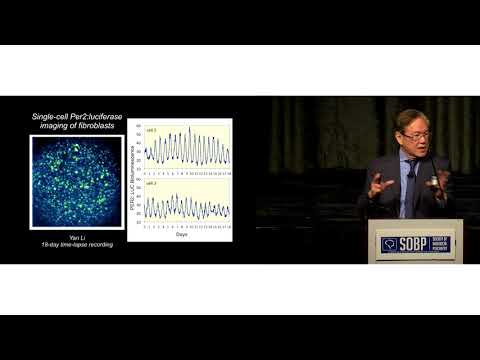 Dr. Joseph Takahashi: Molecular Architecture of the Circadian Clock in Mammals