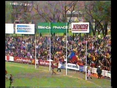 VFL R15 1981 - Fitzroy v Essendon
