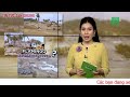 Toàn cảnh Tin Tức 24h Mới Nhất Sáng 17/1/2022 | Tin Thời Sự Việt Nam Nóng Nhất Hôm Nay | TIN TV24h