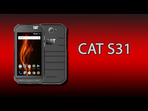 CAT S31 - очень надёжный фирменный защищённый смартфон!