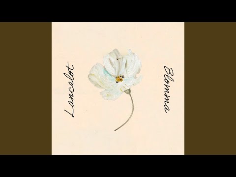 Blomma - Lancelot
