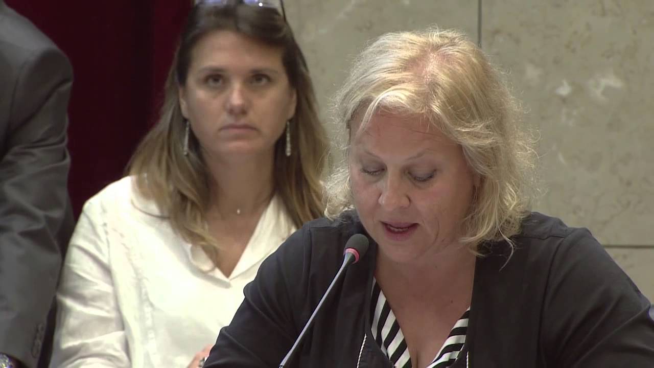 Watch video 1/5 Conseil municipal Colomiers - 25 juin 2014 1/5 Conseil municipal Colomiers - 25 juin 2014