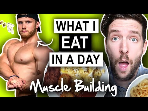 Nutritionist Reviews | Jeff Nippard's - What I Eat In A Day (SHOCKER)!