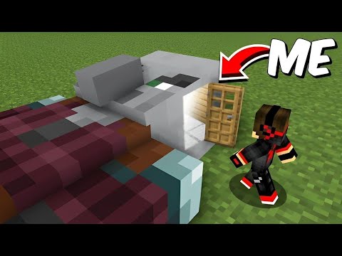 Minecraft But You Can Go Inside Any Mob....