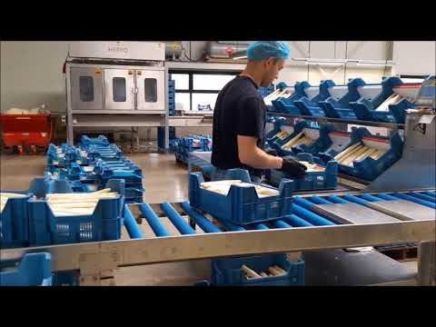 Asperges van het land naar de klant