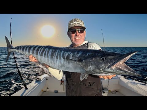 A $700,000 Boat, Giant Live Bait,  Big Wahoo and Really Fast Flying Quail (Catch & Cook)