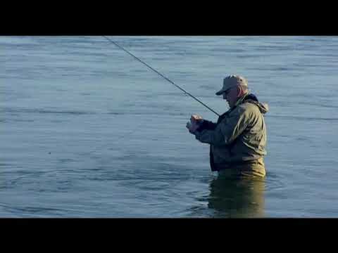 Veiðiperlur Ósaveiði