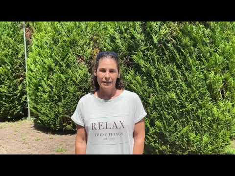 Mensaje de Virginia Ruano, directora del torneo. El torneo regresará el 2021 más fuerte