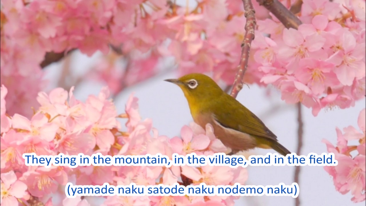 Japanese Folk Song #65:  Spring Has Come (春が来た / Haruga kita)