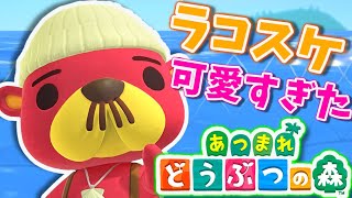 ラコスケがかわいすぎたんだがｗｗｗ【あつまれどうぶつの森】【あつ森】【どうぶつの森】【どう森】