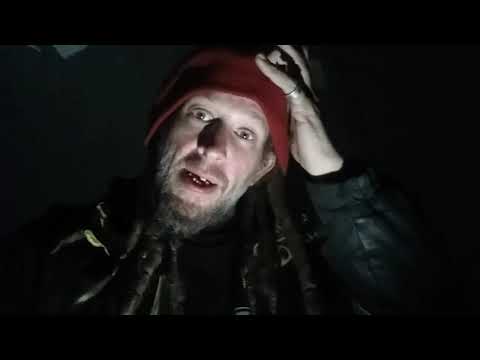 Help from Street Dogz and Lotus' play date