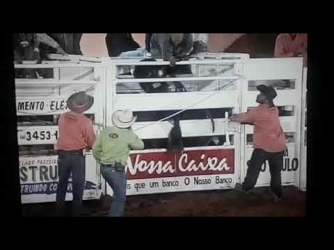 Marcos Cesar da Silva Pezão de Votuporanga