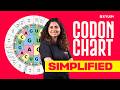 Codon Chart Simplified Xylem NEET 2026