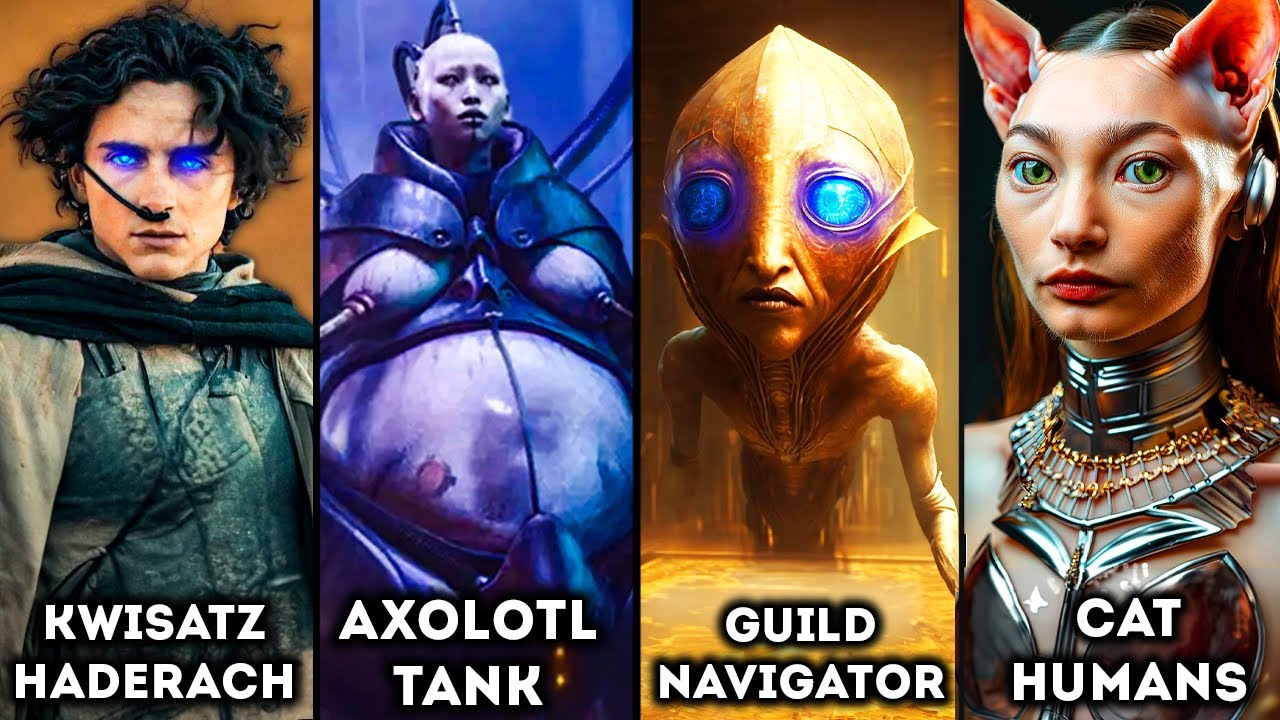 All 21 Human Types in The Entire DUNE Story & Universe Explained! (God Emperor, Bene Gesserit...)