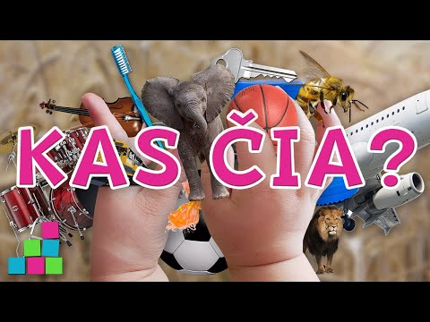 Kas Čia? | Įvairūs garsai vaikams | Lietuviškai