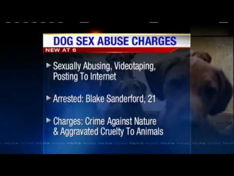 Metairie Man Accused Of Sexually Abusing Dog