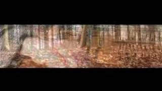 Trunk - Spiral Architect