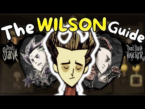 The Complete WILSON Guide