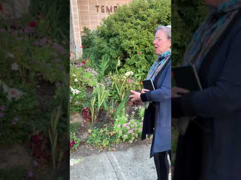 Rabbi Avi Weiss’ Alternative Al Chet