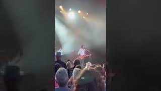 Rick Springfield july 12,2022 the light of love