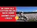 In Them Old Cotton fields Back Home  ~ JOHNNY CASH   ~ LYRICS