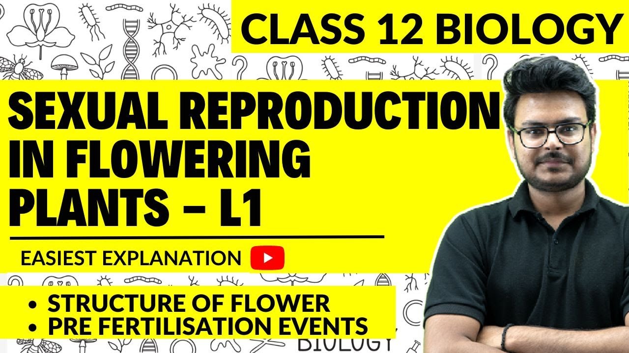 Sexual Reproduction in Flowering Plants Class 12 - L1 | Pre Fertilization Events | Microsporogenesis