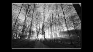 Modest Mouse - Dramamine Instrumental