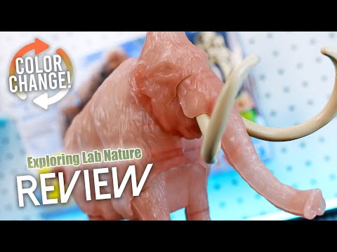 Mammoth - Exploring Lab Nature UNBOXING and Review!