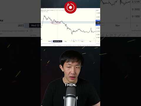 RNDR Crypto Long Term Position