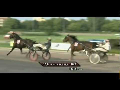 Charlie-Mills-Rennen (Stallion) 2012_Candles N Caviar 1:16,2_Robin Bakker