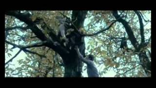 C.S.I. - Linea Gotica