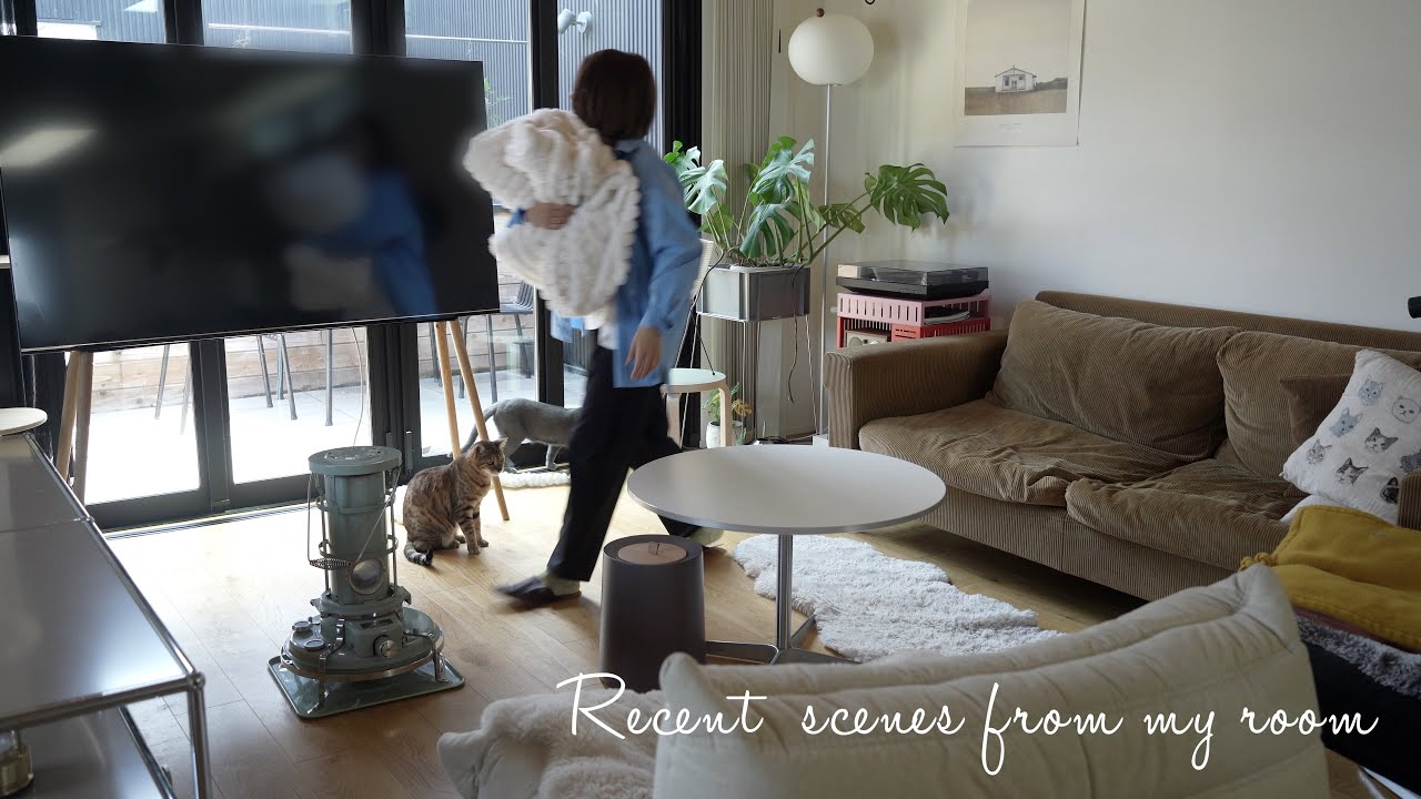 【VLOG】最近のお部屋 | 家、猫、暮らし