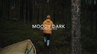 COMO OBTENER EL LOOK 'MOODY DARK' EN VIDEO