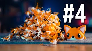 5 Things I Wish I Knew BEFORE Buying a 3D Printer thumbnail