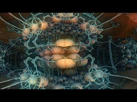 frac render mb3d animation