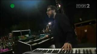 Elvis Costello - Waiting For The End Of The World